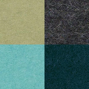 Color Edition 01