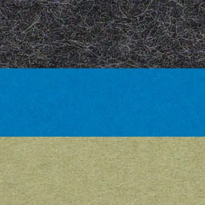 Color Edition 05