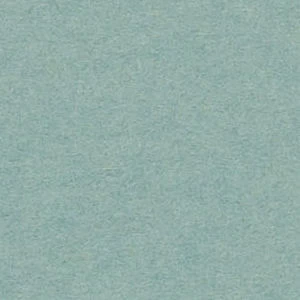 aqua